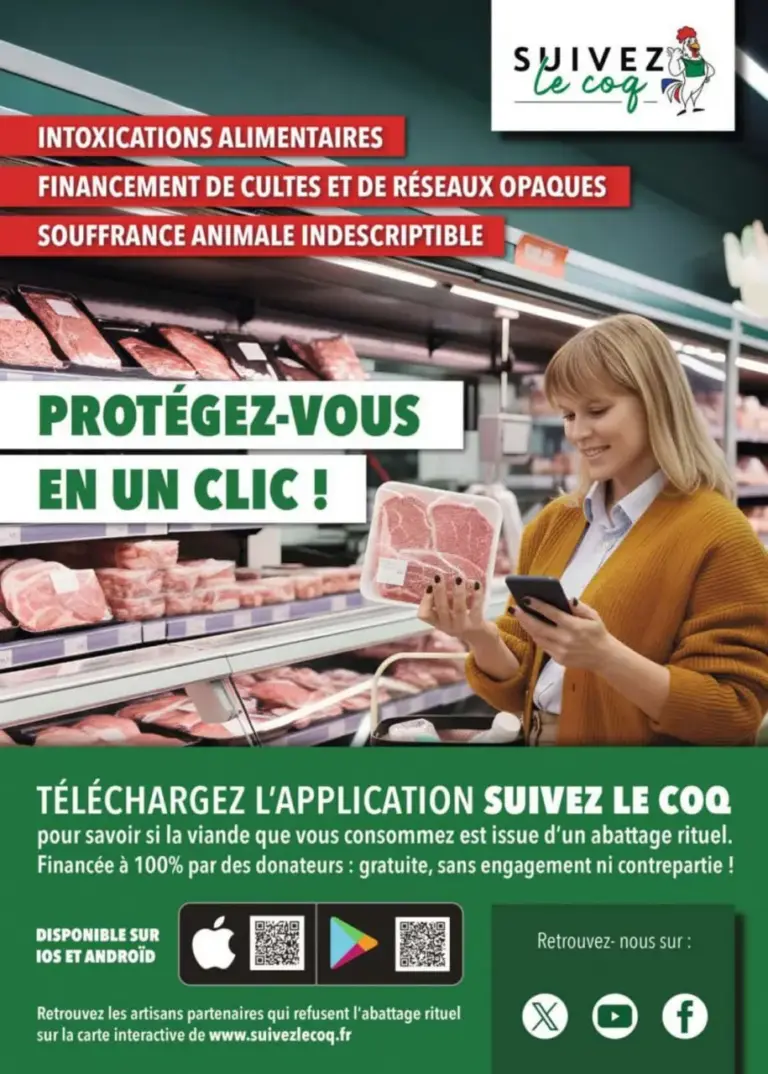 Publicité SUIVEZ LE COQ